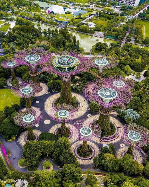 Ngày 1 – Tp. Hồ Chí Minh  – Singapore  –  Du thuyền Star Voyager